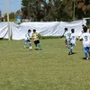 santinobarrionuev06