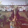 jihan_kz8