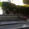 conoscenza_
