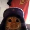 communistcat420