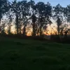 kaylara_e