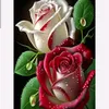 jore260