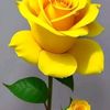 edithmedina555