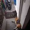 userwrwys61tcl