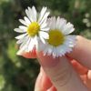nusrat_jhan12