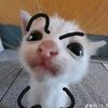 pipapu15_