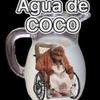 aguadecoco3494