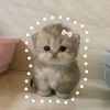 fatimah_aja27