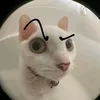 ptanhthu01