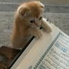 noora__17_