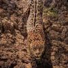 abdelghani9723