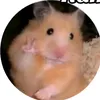 elo.elo147