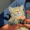 oumyts