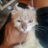 .adela_6