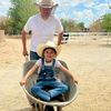 f1cowboy