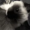 _kmboo