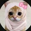 shahdebrahim163