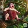 alif.lam.mim32