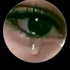 annavelina8