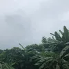 buddhimayasharma2