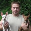 vvi16ukr.net