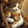 zeinab72796