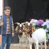_gustavomatias_