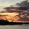 phoebesalih21