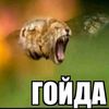 userineqbxsaaw