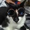 ruzzia.daniel