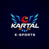 kartal.2007