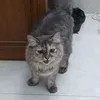 yin_mik1234