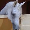 faten.mohammed922