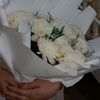 tamy.ali81