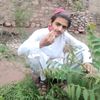 muneer Khan 7