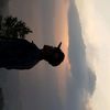 ridosaputra6334