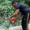 alifika_240524
