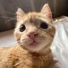 gillybug1413