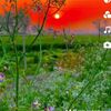 rambdhrimal55