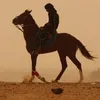 allahan.lay
