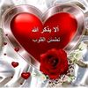 ahmedmedmesoud