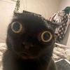 i_am_cool2748