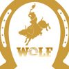 wolf.productions28
