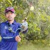 Tony Lunk