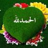 user590259198446