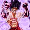 monkey_d.teo2313