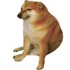 yellowdoggos34