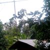 nadimunadi82