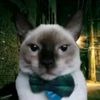 ery_.alexander