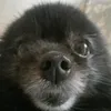 user3n765cih3j